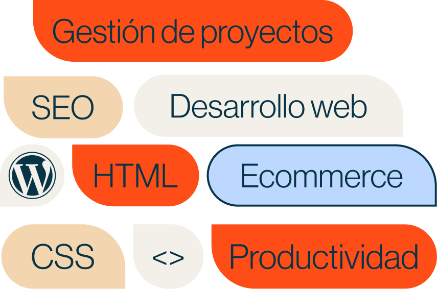 Imagen de una Nube de palabras: Gestión de proyectos - SEO - Desarrollo Web - WordPress - HTML  - Ecommerce  - CSS - <> - Productividad.